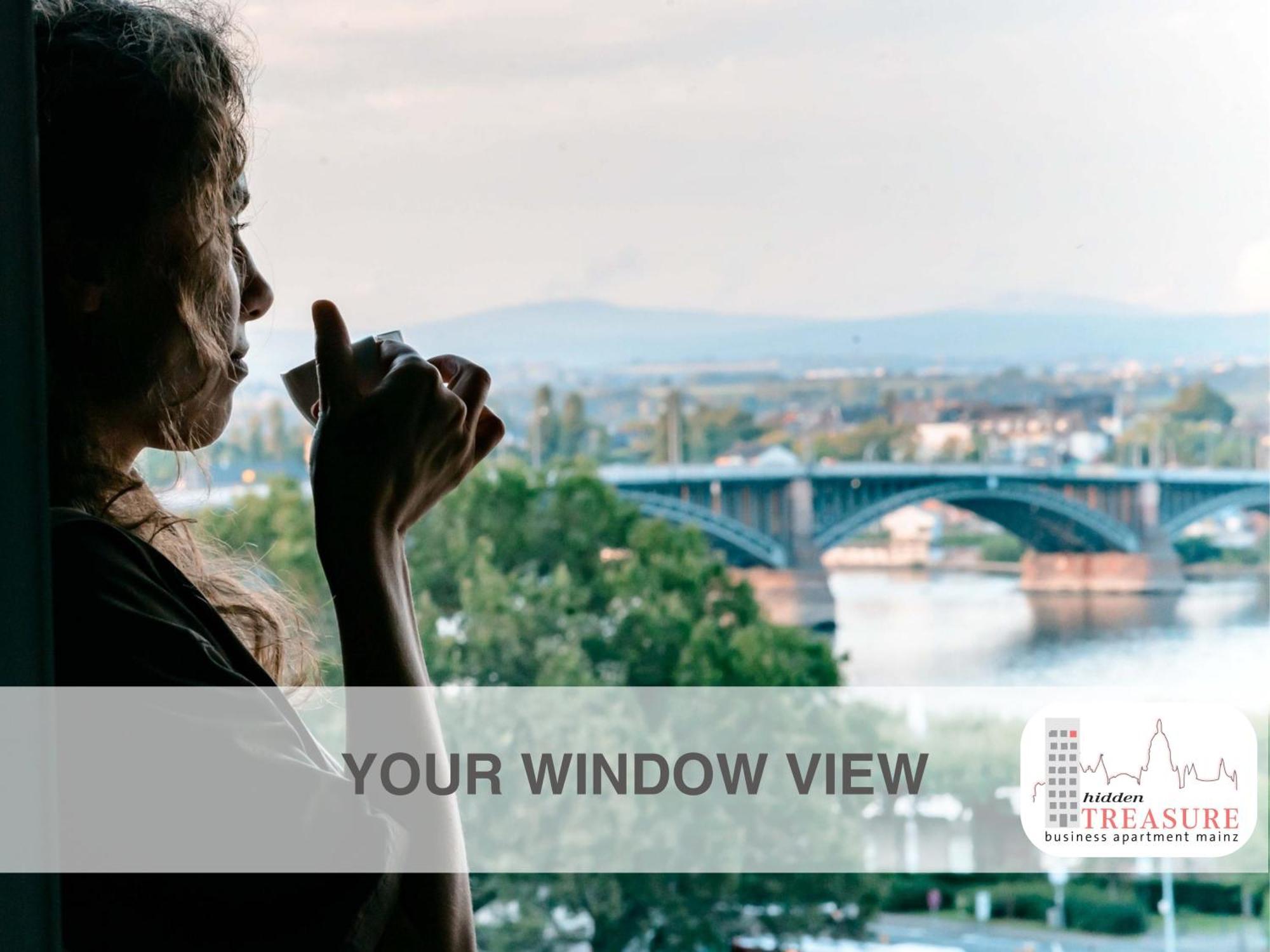 Hidden Treasure Business Apartment Mainz - Fantastic Rhine View In Center Of Mainz Old Town Kültér fotó