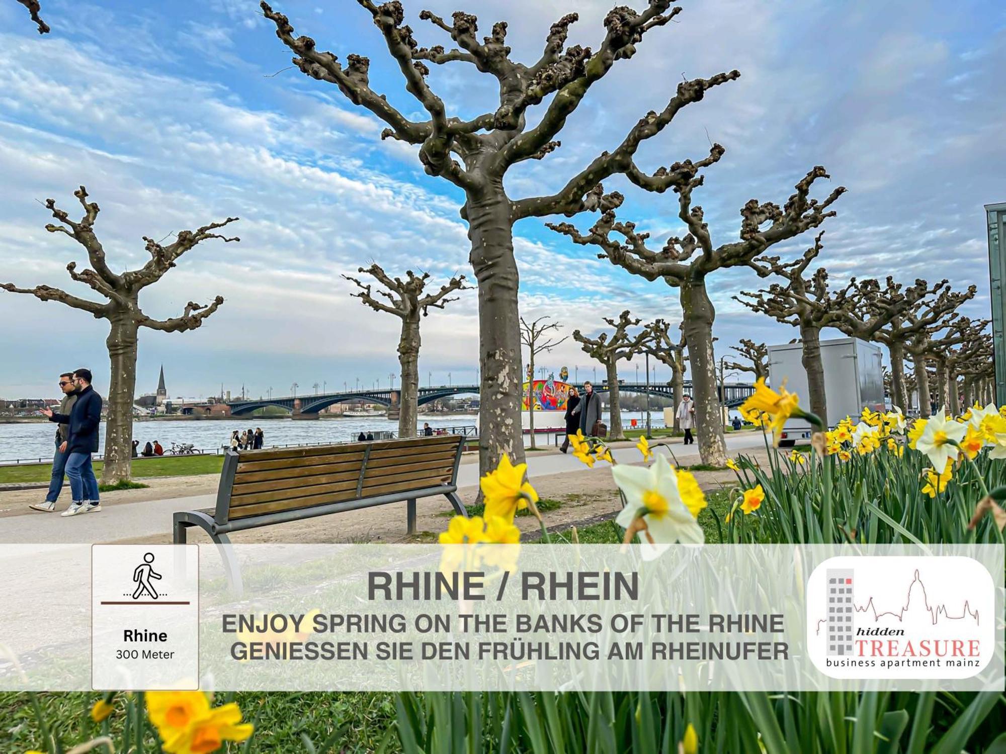 Hidden Treasure Business Apartment Mainz - Fantastic Rhine View In Center Of Mainz Old Town Kültér fotó