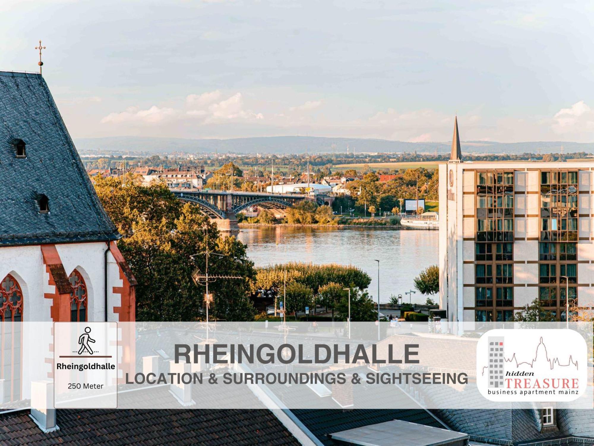 Hidden Treasure Business Apartment Mainz - Fantastic Rhine View In Center Of Mainz Old Town Kültér fotó