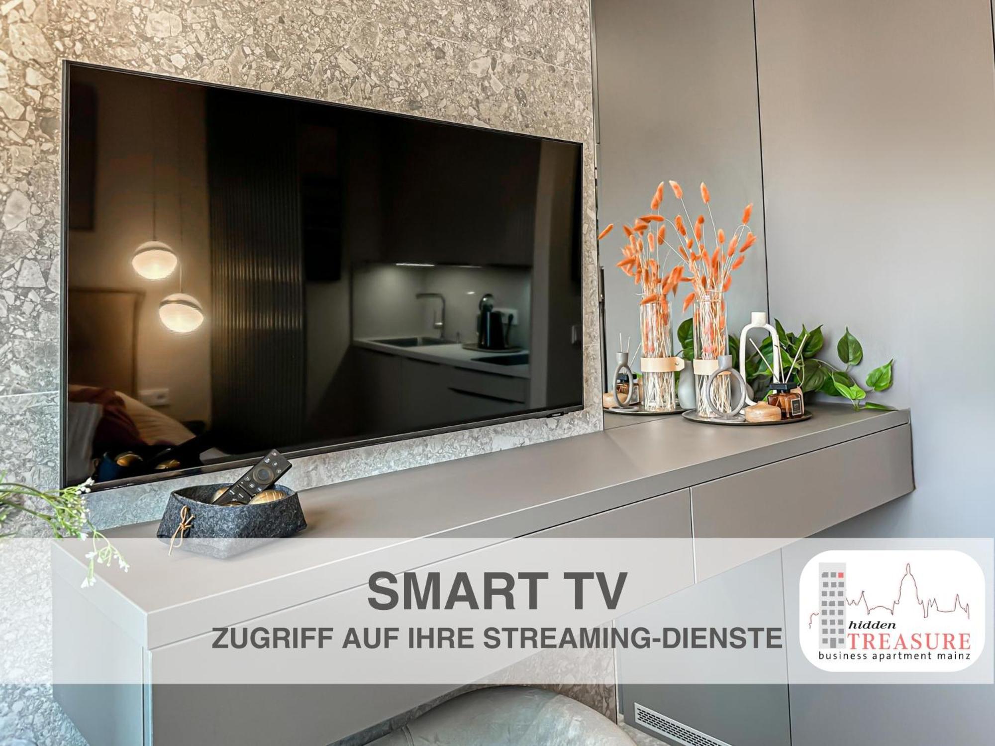 Hidden Treasure Business Apartment Mainz - Fantastic Rhine View In Center Of Mainz Old Town Kültér fotó