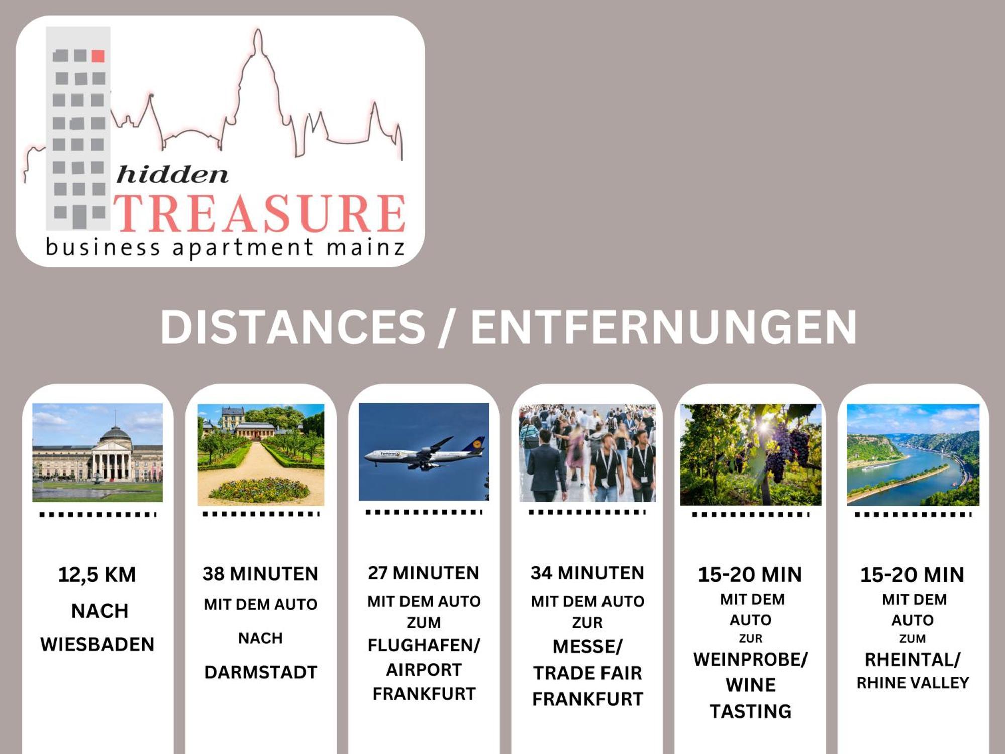 Hidden Treasure Business Apartment Mainz - Fantastic Rhine View In Center Of Mainz Old Town Kültér fotó